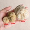 1Pc Unopened Natural Agate Geode Raw Crystal Mineral Healing Crystals Stone Fun Study Teaching Specimen Collections