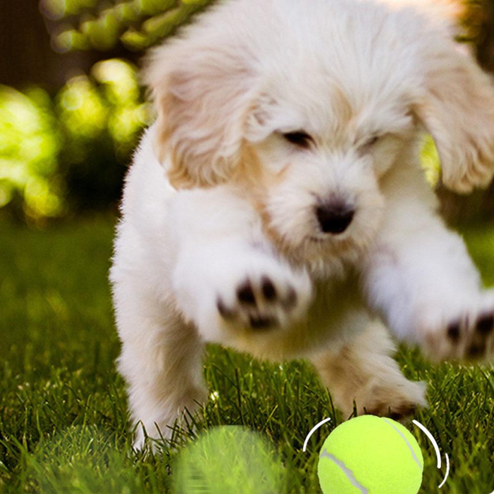 Elastic Dog Tennis Ball, Chewing Synthetic Rubber Pet Toy for Training, Durable Puppy Chewing Toy,