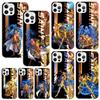 Anime Saint Seiya Phone Case For Iphone 17 Air 16 15 Plus 16E 14 Pro Max 13 Mini 12 11 7 8 SE Fundas Soft Back Cover 17 Air 16 1