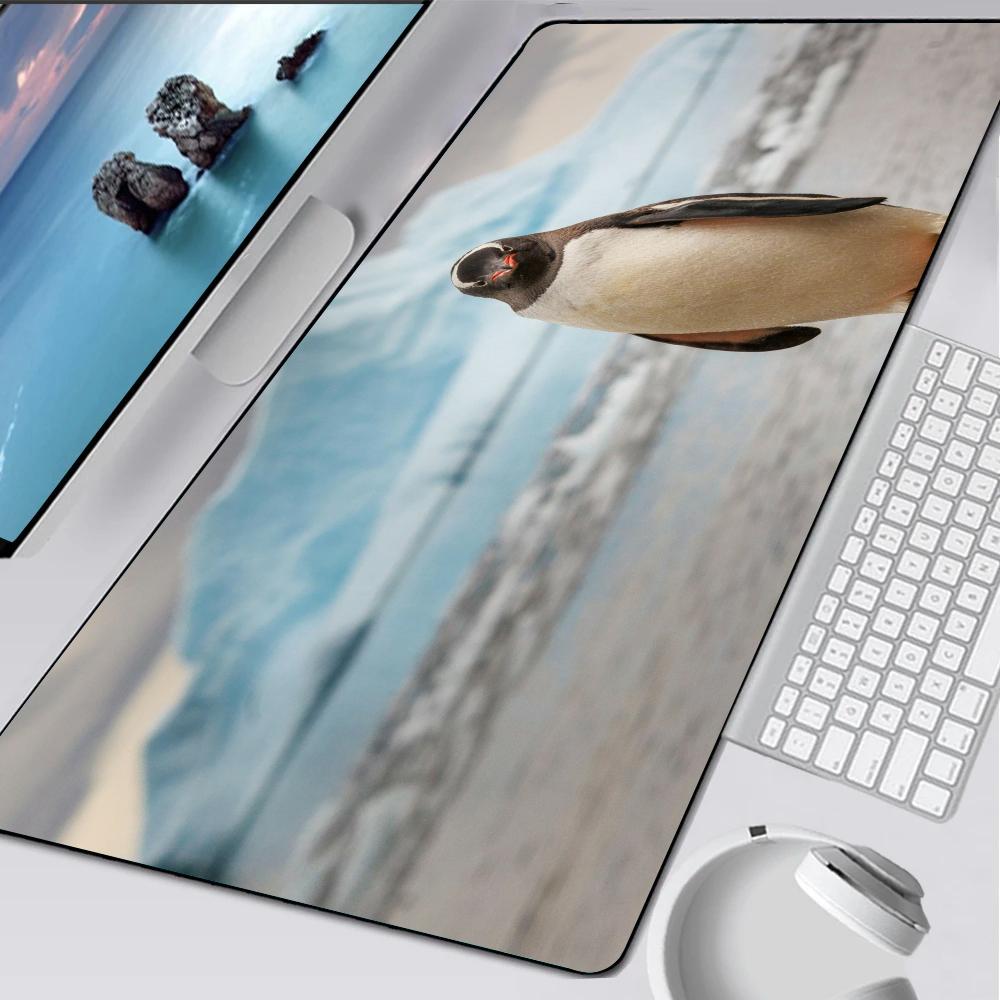 Pinguino antartide carino madagascar Tappetino per Mouse Tappetino in Gomma Laptop Xxl Mousepad Quaderno Giocatore Tavolo Computer Accessori da Gioco