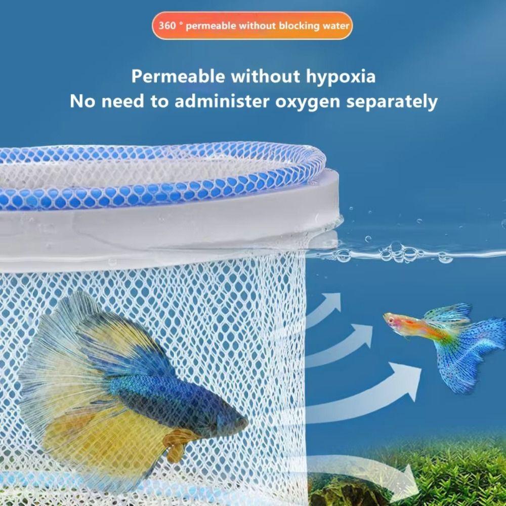 Multiple Sizes Aquarium Fish Isolation Box Breathable Small Fry Breeding Box  Fish Care Equipment