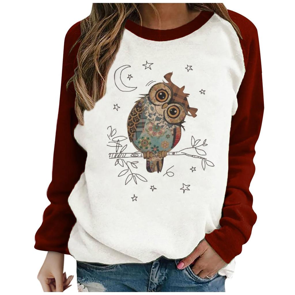 Women's Casual  Solid Color Long Sleeve Top Pullover Sweatshir