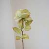 Simulated French Rose Home Soft Decoration Rose Fake Flower Hotel Simulated Flower Rose Display Wholesale