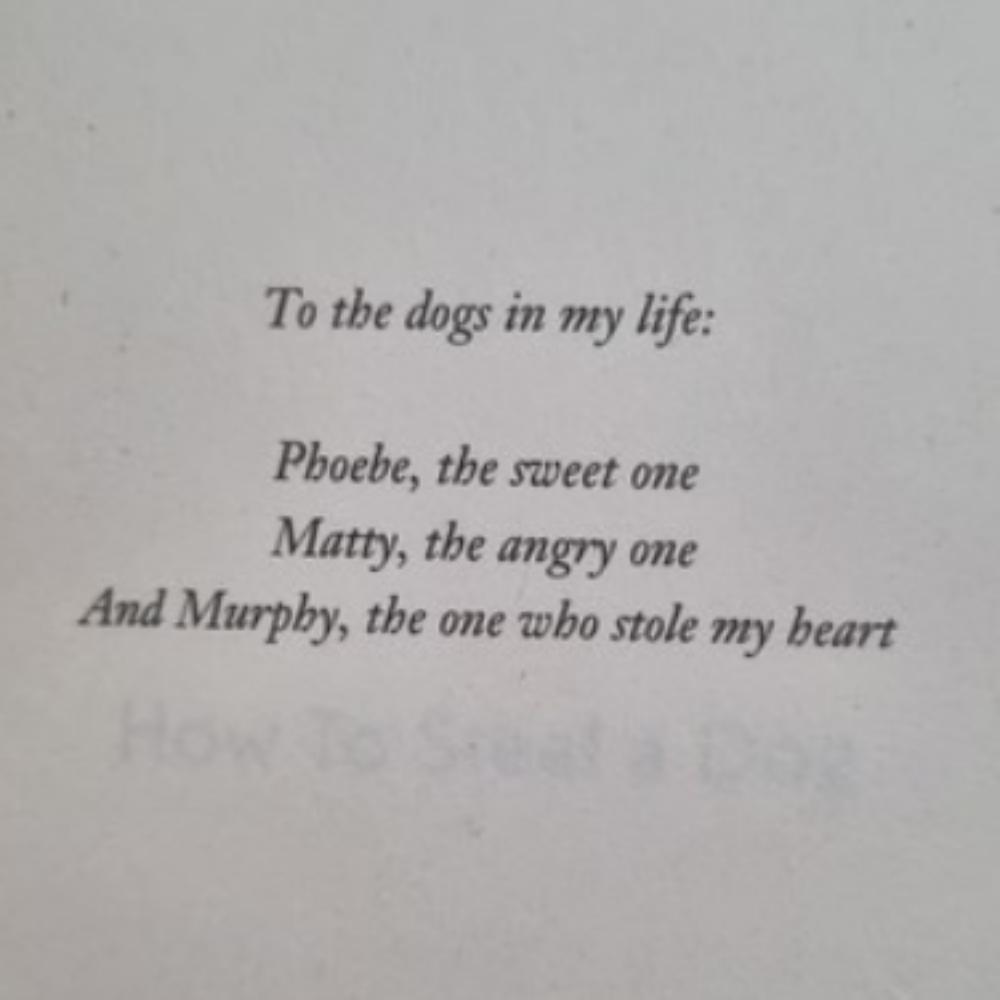 How To Steal a Dog / Barbara O'Connor : English Novel