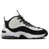 Nike Air Penny 2 Panda DZ2549-001
