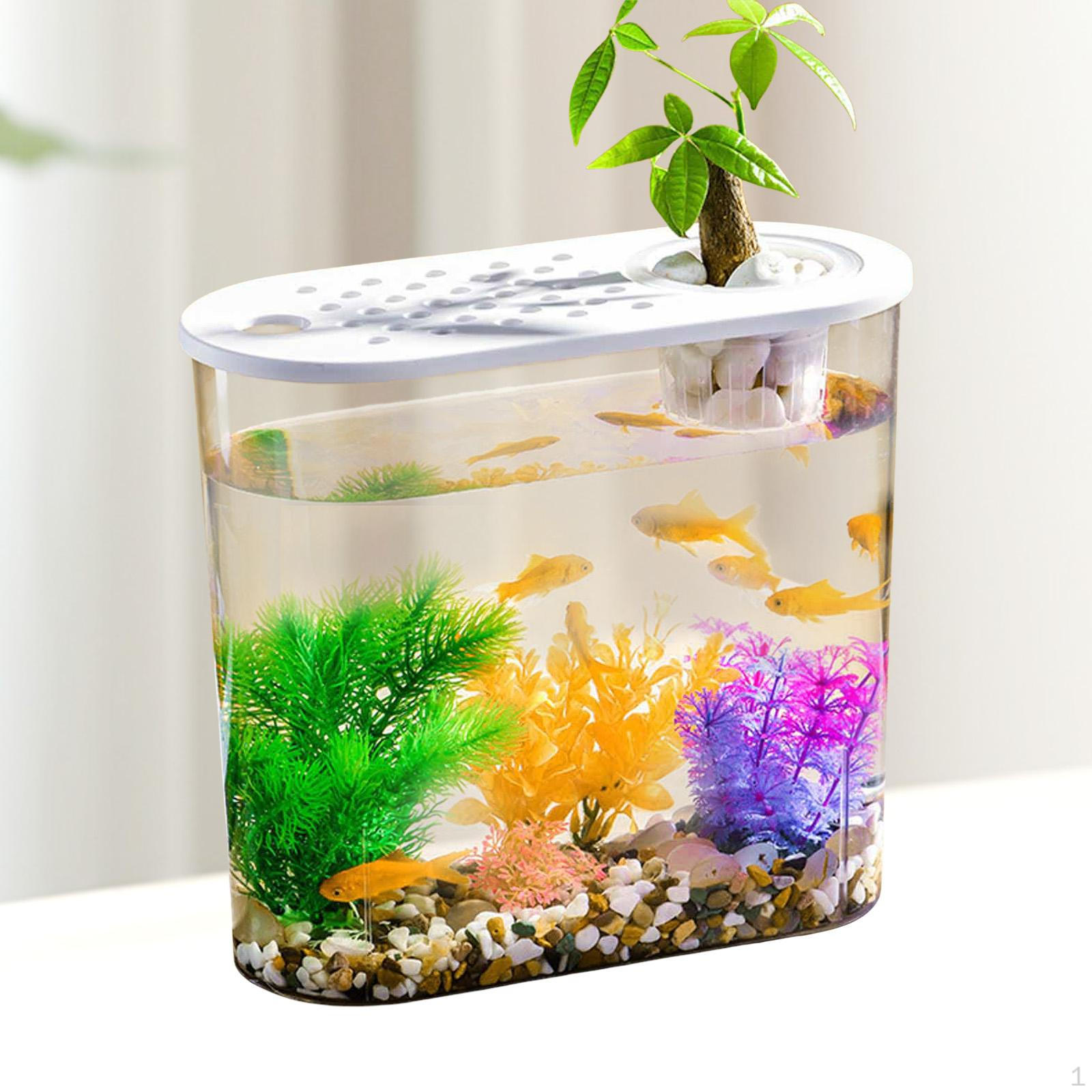 

Настольный аквариумный контейнер Aquascape, легкая банка для хранения, террариум, мини-аквариум для дома, Terrapin White Lid