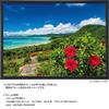 Yanoman in jigsaw Sea and Summer Ishigaki Island includes piece request service and jigsaw puzzle instruction manual [Made Japan] 500-piece puzzle,