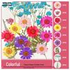 Handmade Pressed Flower Bookmark and Epoxy Sticker Pack with Real Leaf and Plant Specimens for DIY Face Makeup.