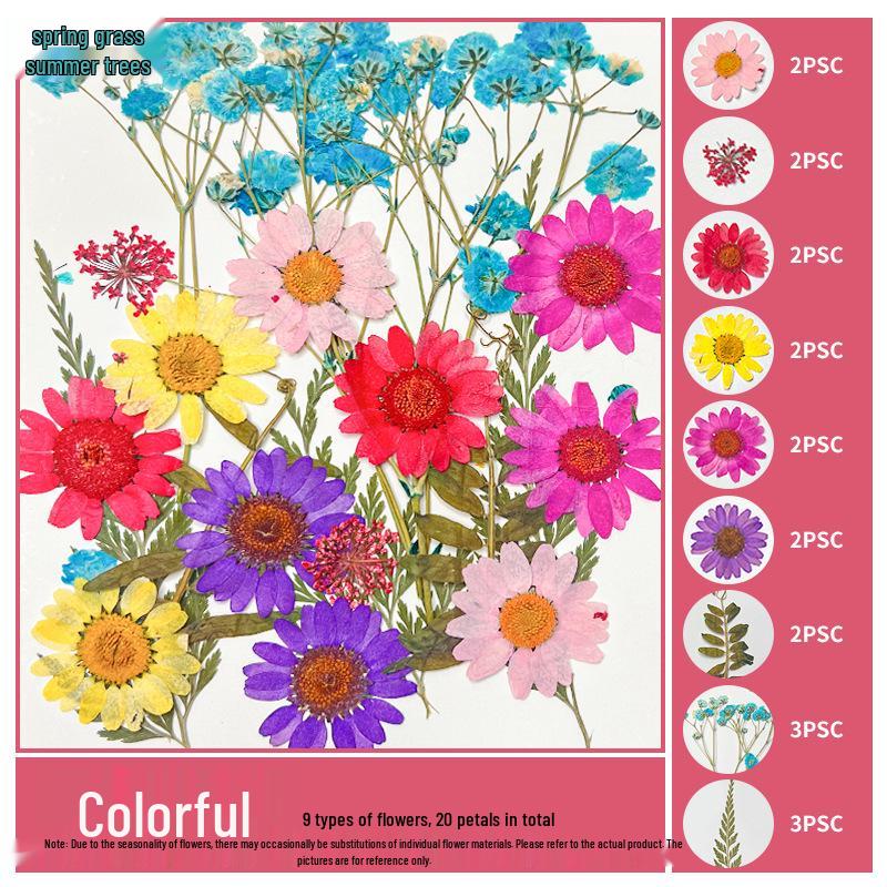 Handmade Pressed Flower Bookmark and Epoxy Sticker Pack with Real Leaf and Plant Specimens for DIY Face Makeup.
