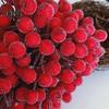 Decorations Home Artificial Fruit Berries DIY Stage Garden Holiday Party Craft Decor