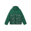 Chaqueta de plumón Originals Adicolor para hombre Verde IL2566