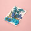 Handmade Pressed Flower Bookmark DIY Kit: Real Dried Flowers, Creative Craft, Unique Plant Specimen, Perfect Small Gift
