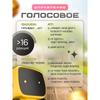 Interactive Robot with Russian Voice Acting, Repeater, Voice Controlled, Toy for Boy