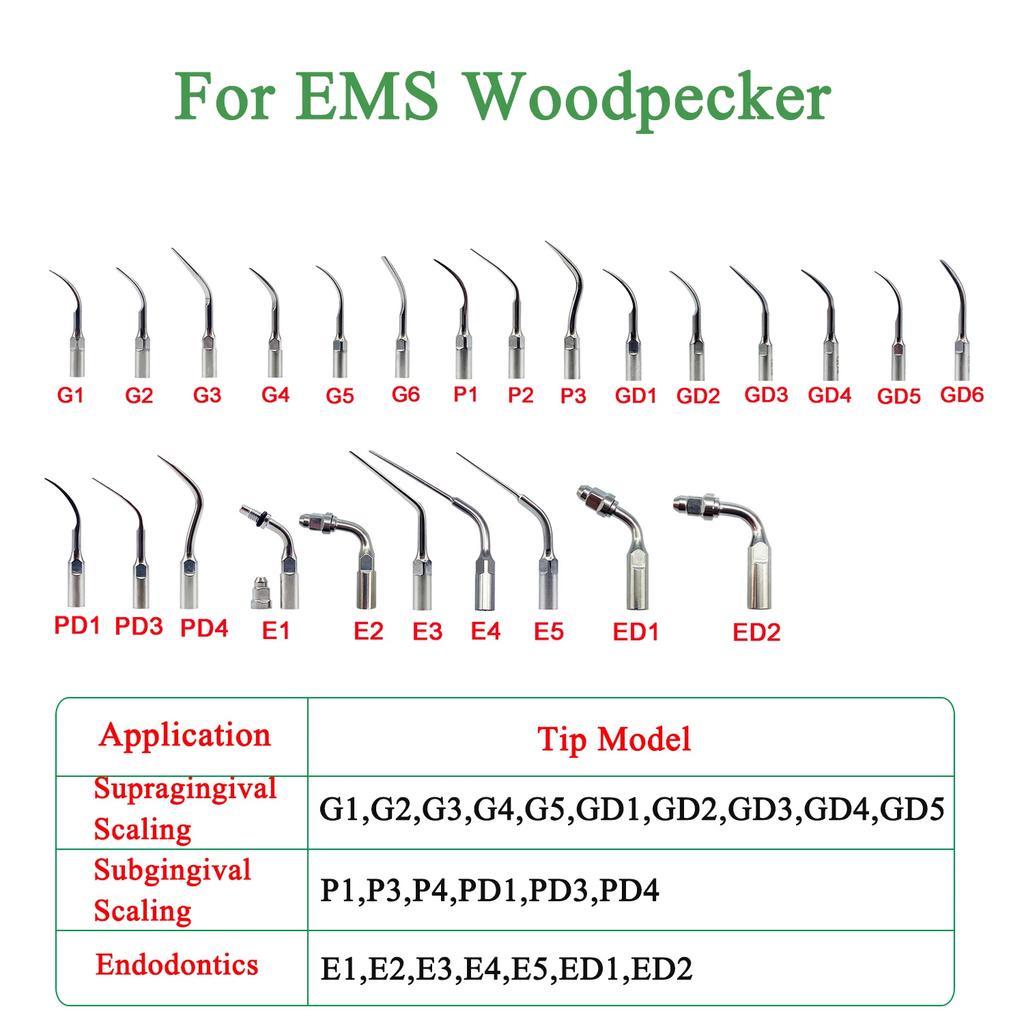 Durable And Safe 1Pc Dental Ultrasonic Scaler Tip Scaling Periodontics Endodontics Endo Perio Scaling Tips G P E Fit For Ems And Woodpecker