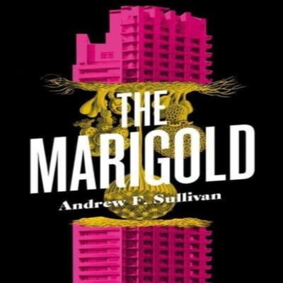 The Marigold by Andrew F. Sullivan Paperback Book 9781770416642