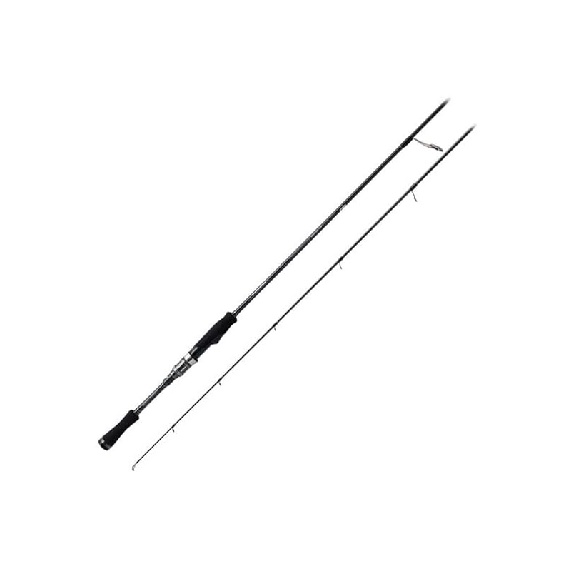 

пальмы мора MGGS-65L+2MF