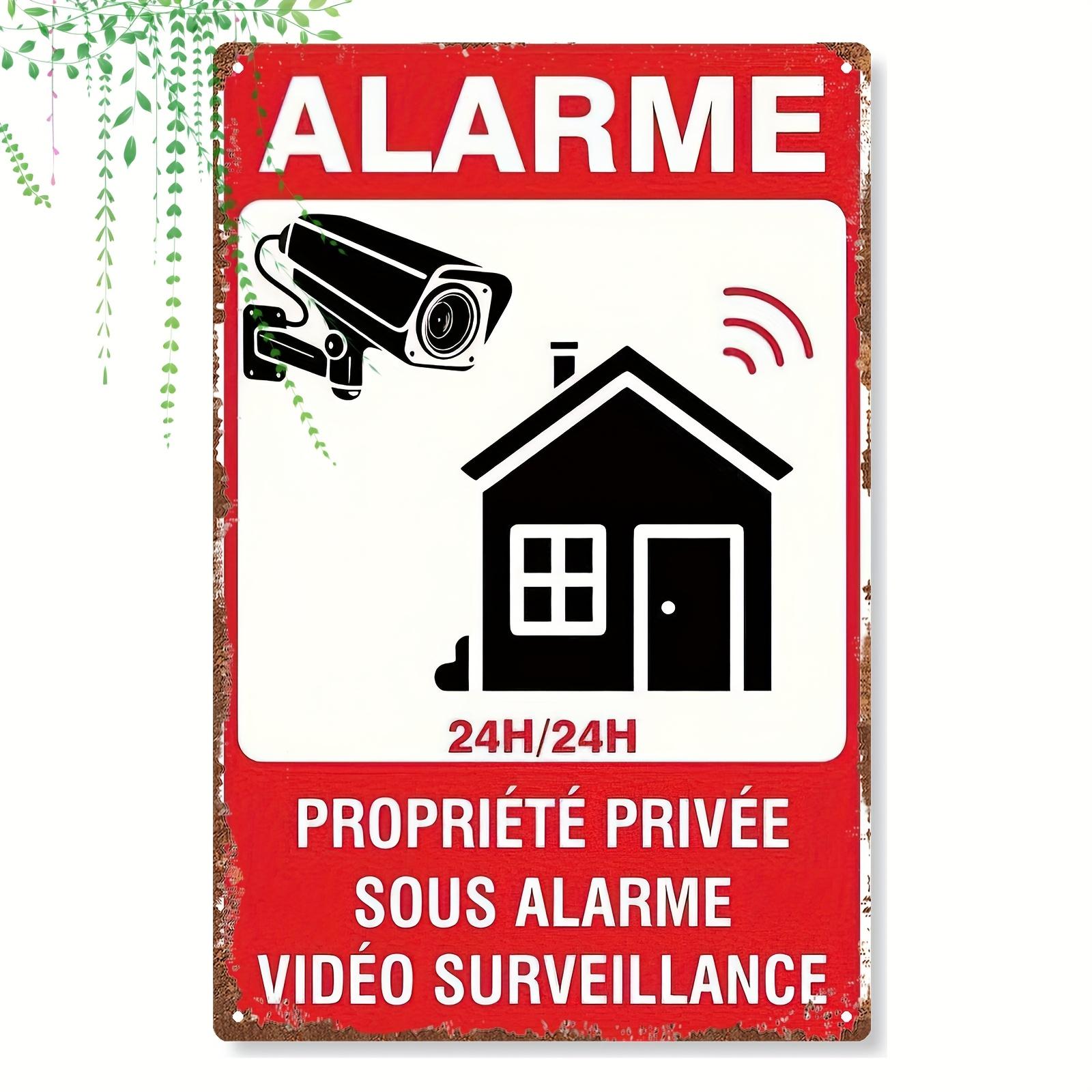 2D Flat Security Metal Sign 24H Alarm Video Surveillance Deterrent Rustic Iron Wall Art for Home Room Restaurant Bar 20x30cm(7.8x11.8inch)