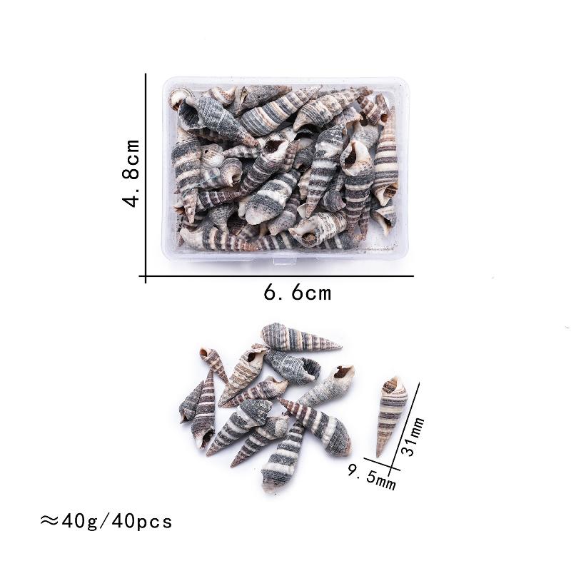 

1 Коробка Морские Ракушки Спиральные Ракушки Крошечные Океанские Спиральные Морские Ракушки Поделки Украшение для Аквариума Ландшафтные Аксессуары Реквизит для Фотографии