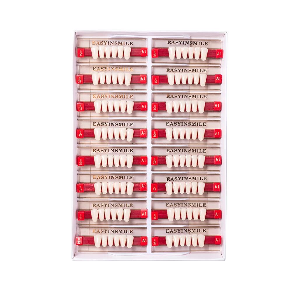 16/12 Sätze/Karton Zahnprothese Zähne Oberkiefer Frontzähne Unterkiefer Seitenzähne Dentier Synthetisches Polymerzähne Zahnmedizinische Ausbildungsmodell