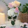 Clear Acrylic Frame Flower Vase Modern Art Home Decor Decorative for Desktop Bookshelf Display Living Room Decoration Vases
