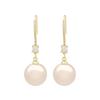 Exquisite Micro-Inlaid Zircon Large Pearl Earrings, Long French Simple Temperament Elegant Commuter Earrings