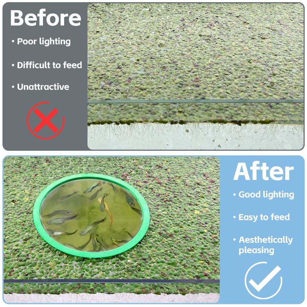 5/10Pcs Round/Square Aquarium Floating Plant Corral Floating Plant Holder  Fish Tank