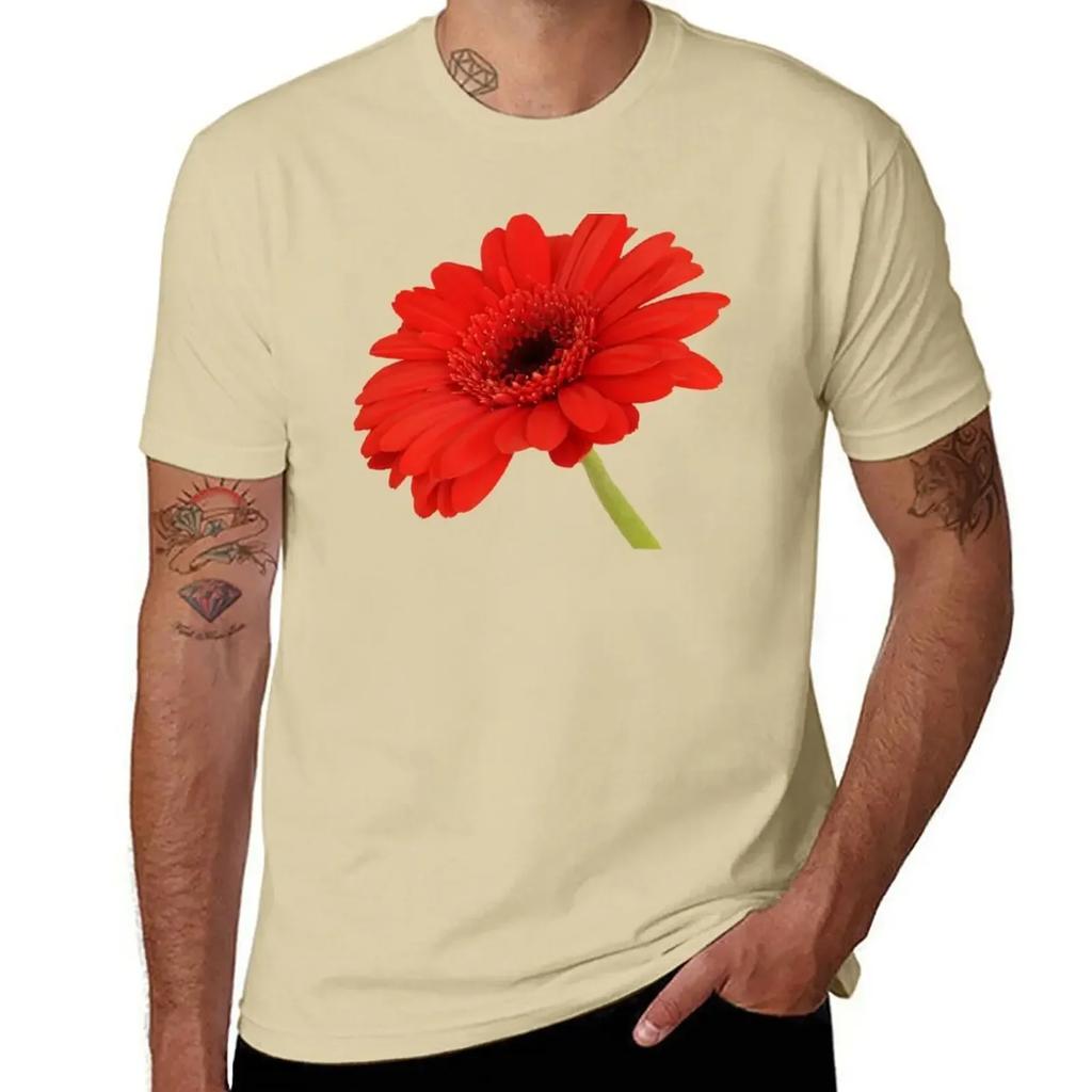 Red Gerbera Daisy T-Shirt Kawaii Clothes Heavyweights Cute Tops Mens Clothing