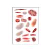 Horror Realistic Fake Bloody Wound Stitch Scar Scab Waterproof Temporary Tattoo Sticker Halloween Masquerade Prank Makeup Props