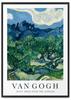 Poster Van Gogh Olive Trees