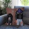 Anime Crystal Castles Band Pillow Anime Pillow Sofa Bed Head Pillow Cover Cushion Cover Fashion