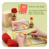 DIY Crochet Craft Set Crochet Potted Plant Kits with Crochet Hook, Yarns, Needle, Instructions, Accessories for Beginner