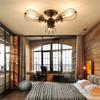 Vintage Ceiling Light LED Retro Light Fixture Wall Light Ceiling