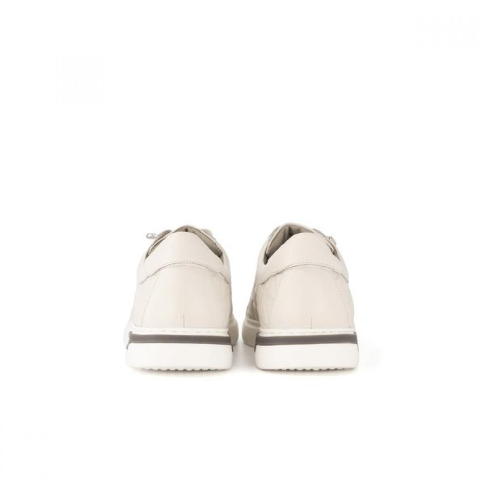 Tandy Men S SneakerS  C 1320 