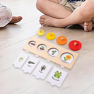 Puzzle Toy Life Cycle Matching Game Animal Growth Puzzle,Learning,Montessori Toy,Jigsaw