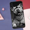 Pit Bull Lovely Dog Pitbull Case For Huawei Nova Y60 Y90 Y70 Y61 Y91 Y72 Y73 12s 12i 11i 8i 9 10 SE P30 P40 Lite P60 Pro