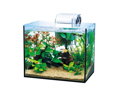 Tetra Glass Aquarium All Glass Aquarium Fish Tank Aquarium Tropical Fish Medaka Goldfish GA-300F