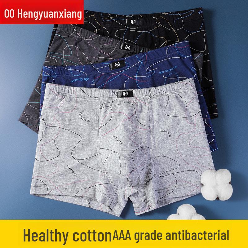 Men's Summer Cotton Boxer Briefs, Thin & Breathable, Boys' Basic Style, Cool, Boxed Set of 4.