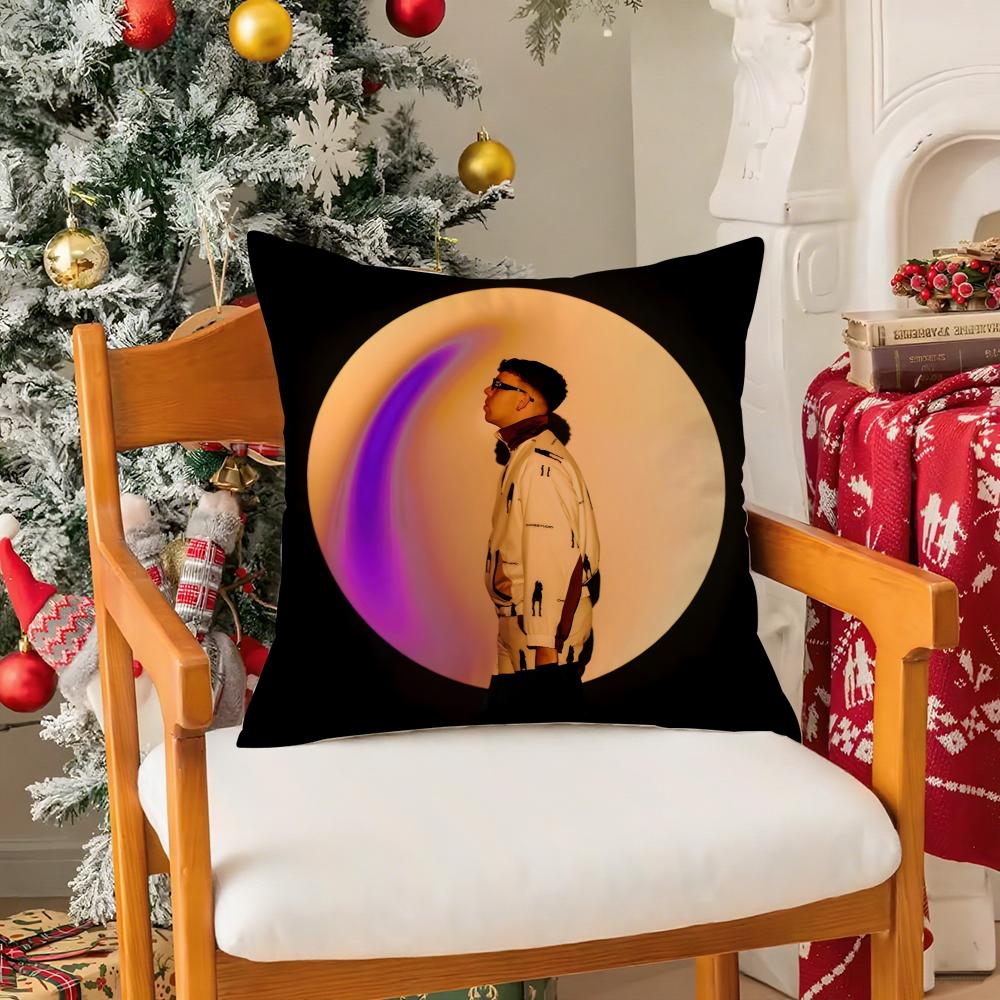 Buenas Noches QQuevedo Singer Pillow Case Silky Short Plush With Invisible Zipper Dustproof Sofa Cushion Cover