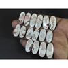 Natural Rosetta Crazy Lace Agate Oval Cabachon Loose Gemstone 08 Pcs Lot C-2611