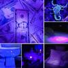 USB-aufladbare UV-Taschenlampe LED-Ultraviolett-Fackeln Zoombar Ultra Violett-Lichter Skorpion Haustierurin-Flecken Detektor Werkzeuge