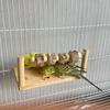 Wear-resisting Parrot Perch Stand Natural Wooden Bird Teeth Chew Toy  Parakeet