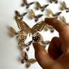 Colorful Metal Butterfly Hanging Decoration for Kindergarten, Mall, Jewelry Store, or Pastoral Corridor