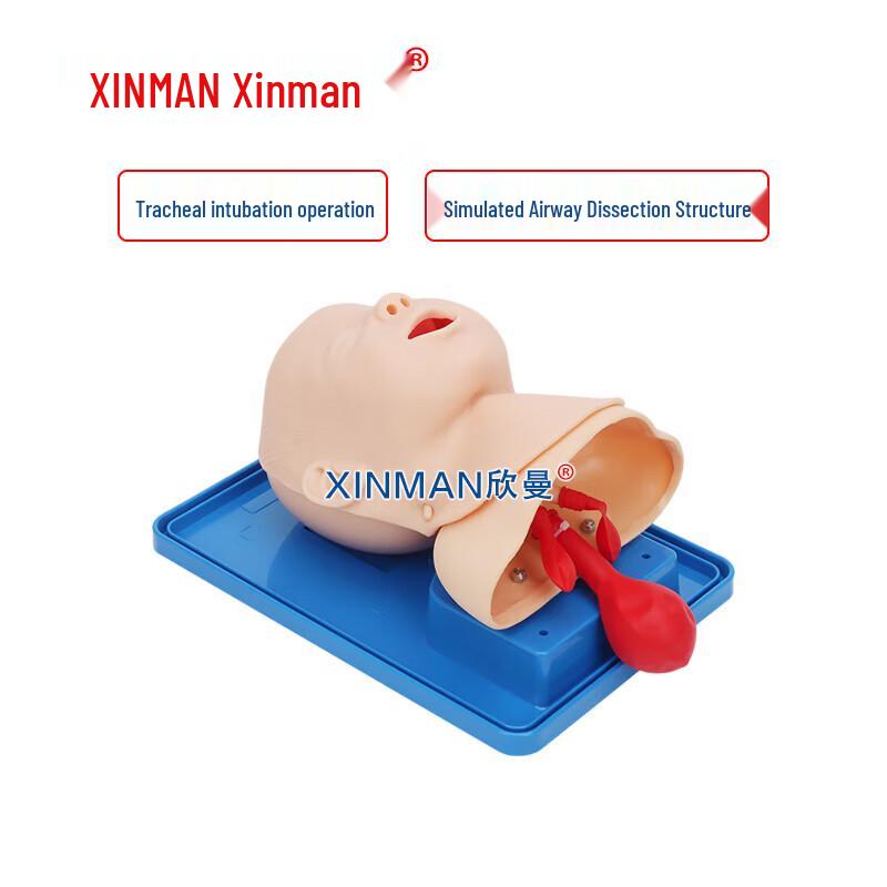XINMAN Advanced Infant Tracheal Intubation Training Model