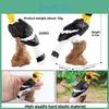 Exotic Parrot And Hornbill Model Solid Plastic Animal Toy For Kids Play And Educational Display
