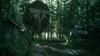 Jeu Vidéo - Playstation - The Last of Us Part II - Edition Standard - 1 Joueur - Graphismes Réalistes