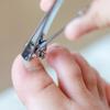 Duży Obcinacz Do Paznokci Cążki Obcinaczki Obcinaczka Maniciure Pediciure