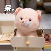 Non-Toxic Kawaii Cartoon Pig Plush Toy With Nose Drop Stuffed Animal Doll Cute Christmas Gift Soft Ctue Pigg Gift