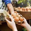 10pcs, Native Egg Packaging Box, Egg Tray Egg Box Pulp Egg Tray Soil Egg Packaging Box for Family, Farm, Market, Camping, Picnic