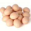 6PCS Artificial Egg Boxes-Perfect for Chicken Coop Decoration and Farm Animal Supplies,Cage Accessories,Nest Guide,Egg Ornaments