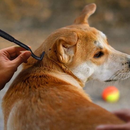 3 szt. Środek do usuwania pcheł domowych Skuteczny środek do usuwania kleszczy dla zwierząt Hak Bezpieczna pielęgnacja zwierząt Narzędzia do usuwania kleszczy Artykuły dla zwierząt